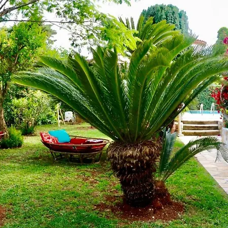 Διαμέρισμα Cap Maisonette Avec Piscine Privative *